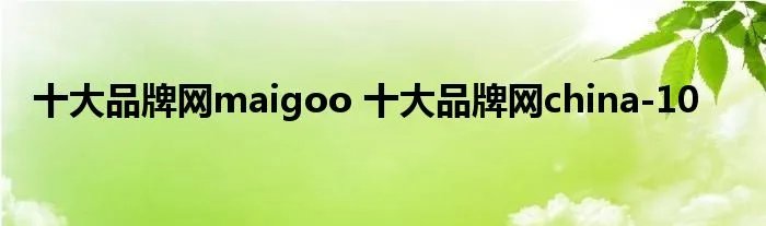 十大品牌网maigoo 十大品牌网china-10