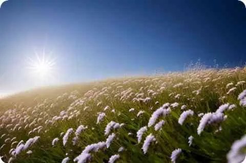 药师佛像手印图解