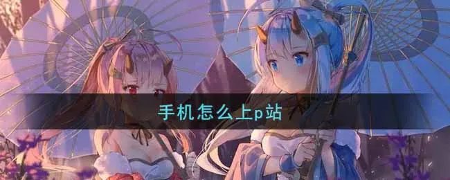 手机怎么上p站