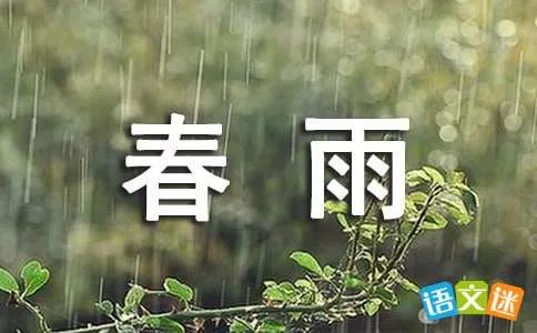 春雨绵绵妻独睡打一字答案是？