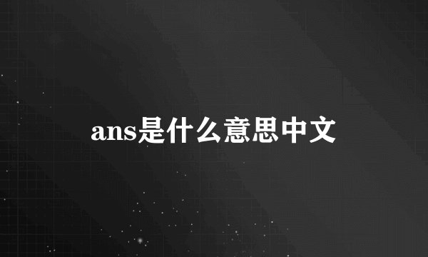 ans是什么意思中文