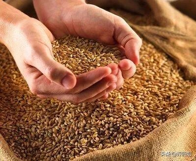 三农指的是什么,什么是三农?