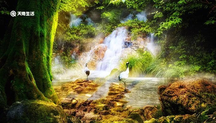 小河淌水是云南哪个地方的民歌