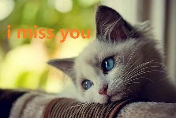 I miss you.翻译成中文是什么意思？