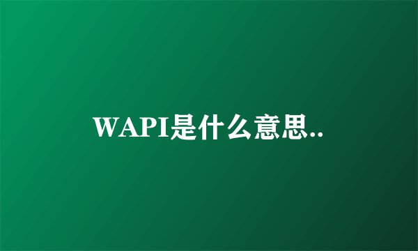WAPI是什么意思..
