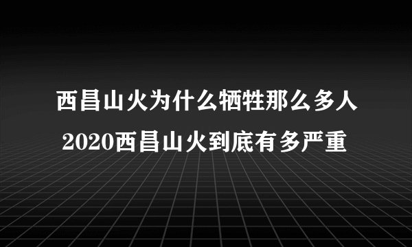 西昌山火为什么牺牲那么多人 2020西昌山火到底有多严重