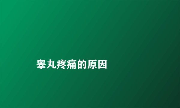 
    睾丸疼痛的原因
  