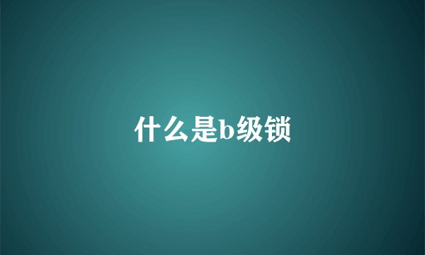 什么是b级锁