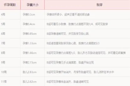 6周孕囊大小对照表