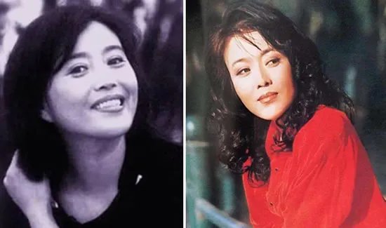 丁嘉丽年轻时候图片,丁嘉丽老公是谁