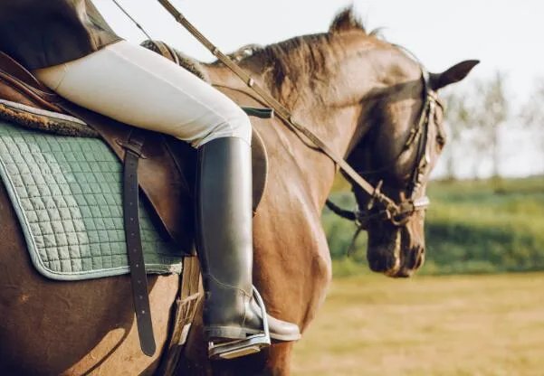 奥运会上男女选手同场竞技的唯一项目是 奥运会男女同场竞技的项目