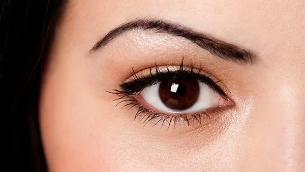 结膜囊在眼睛什么位置 结膜囊的作用和功效