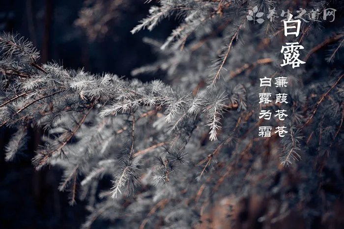 深圳发生雨棚坍塌 暴雨天气要注意什么