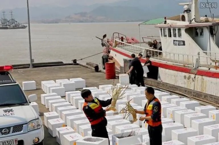 破特大冻品走私案 警方破获冻品走私案价值上亿元