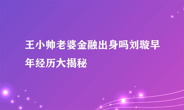 王小帅老婆金融出身吗刘璇早年经历大揭秘