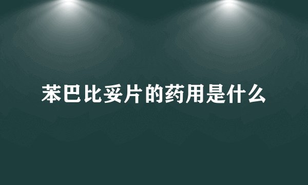 苯巴比妥片的药用是什么