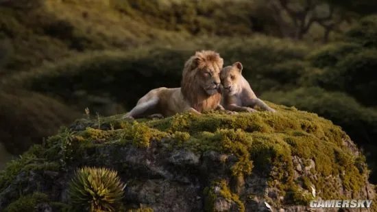 张学友碧昂丝对唱《狮子王》主题曲 殿堂级神仙合作