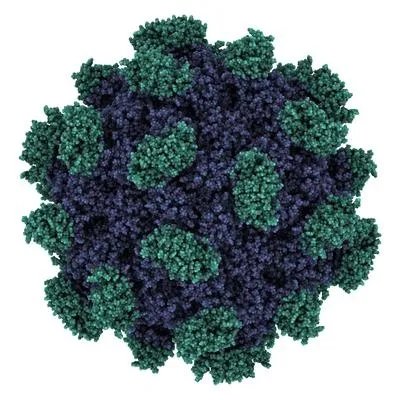 感染德尔塔病毒株有什么症状