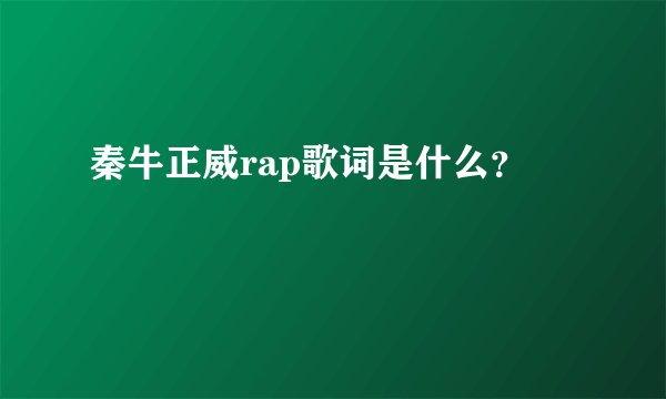 秦牛正威rap歌词是什么？