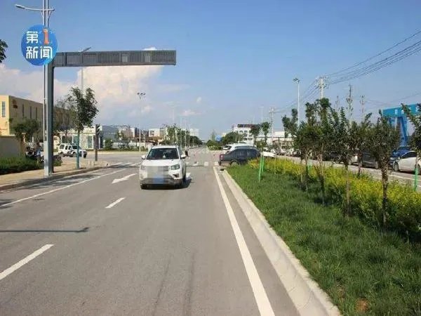 村支书雇凶撞死举报者获死刑,村支书与受害者间有何仇怨?