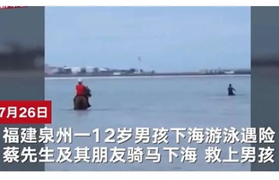 有人将择良驹赠英雄马马主 马儿下海救人不幸逝世后续来了