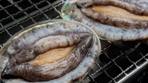 鲍鱼的功效及禁忌