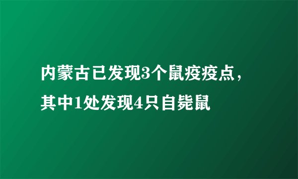 内蒙古已发现3个鼠疫疫点，其中1处发现4只自毙鼠