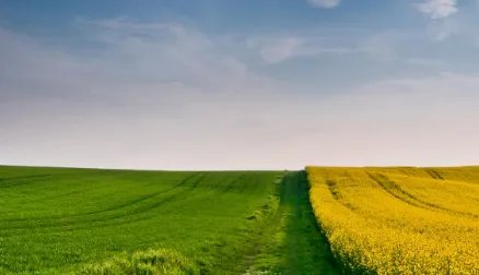 含蓄是什么意思？