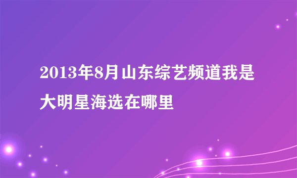 2013年8月山东综艺频道我是大明星海选在哪里