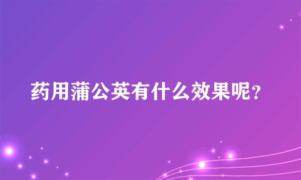 药用蒲公英有什么效果呢？