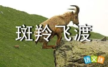 斑羚飞渡读后感