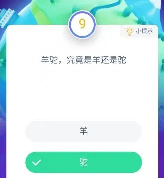 羊驼究竟是羊还是驼