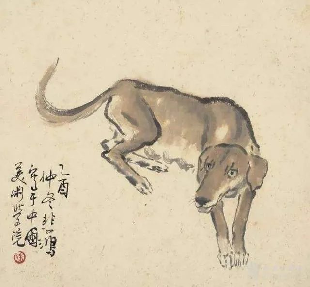 94年的今年多大 94年属什么