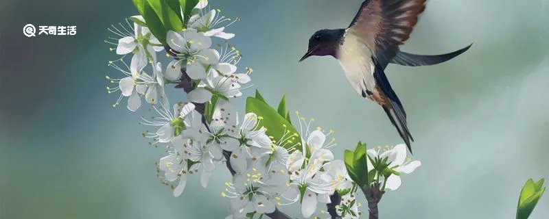 泥融飞燕子沙暖睡鸳鸯的意思