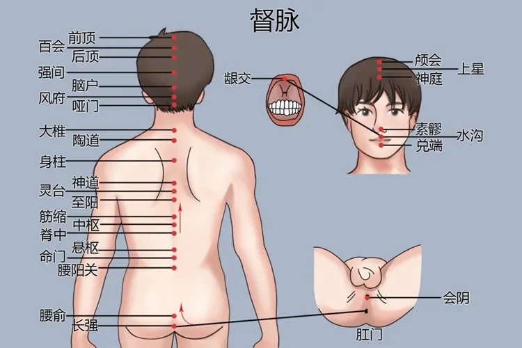 头部督脉的准确位置图