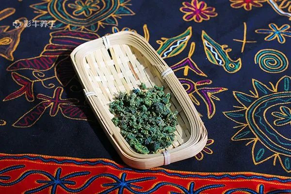 霜桑叶的功效与作用