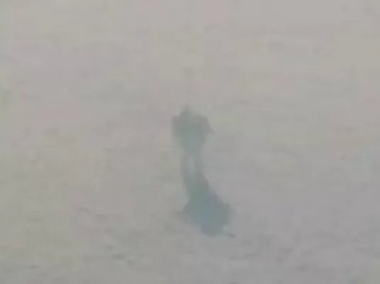 神仙已被科学家证实，揭秘政府为什么隐瞒修真 