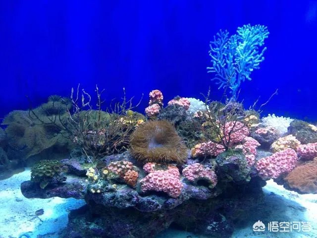 广西北海好玩吗？