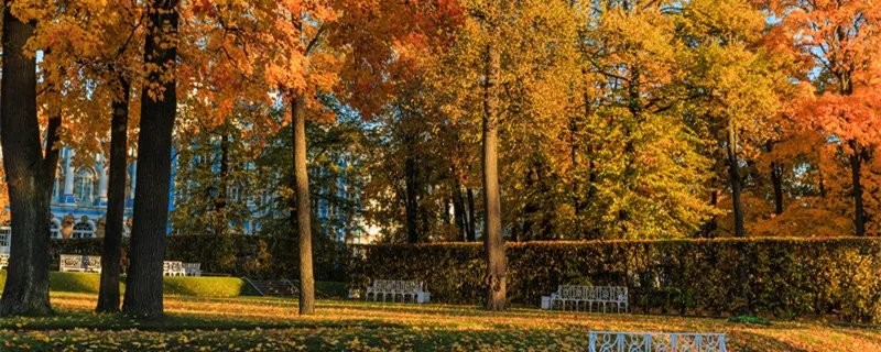 中国立秋吃饺子吗