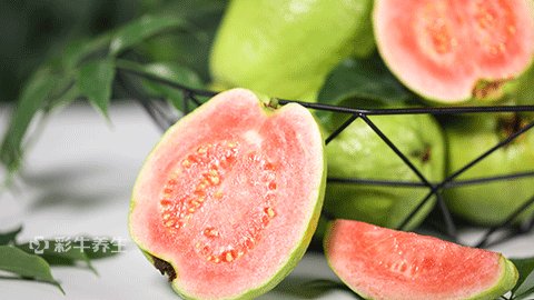 芭乐水果的功效与作用