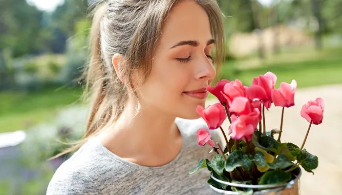 412是什么意思 412是什么含义