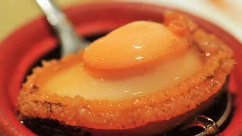 鲍鱼的功效及禁忌