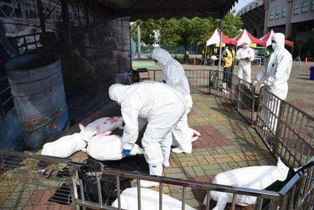 尼日利亚爆发不明疾病，这种疾病会人传人吗？