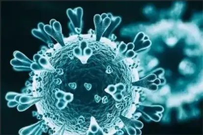 奥密克戎症状顺序