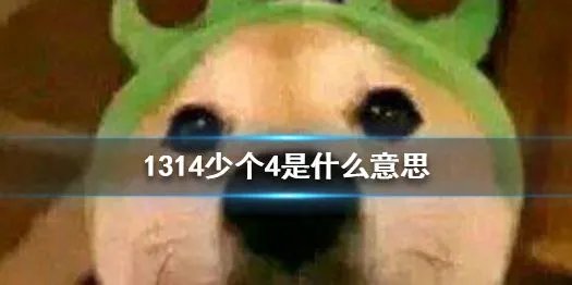 1314少个4是什么意思 1314少个4套路介绍