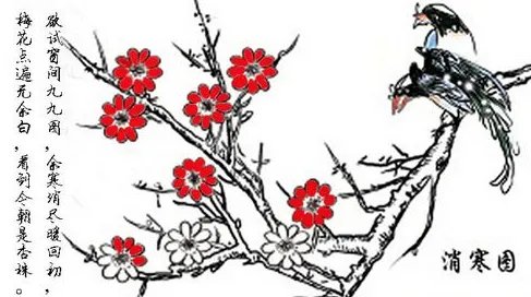 2019数九天时间表