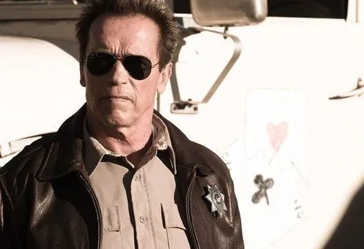 施瓦辛格紧急手术结果如何？