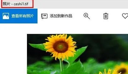 TIF格式如何打开