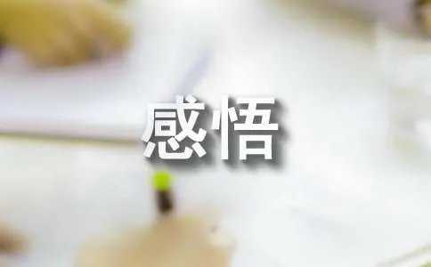 感悟人生的经典语句