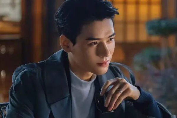 从结婚开始恋爱一共多少集